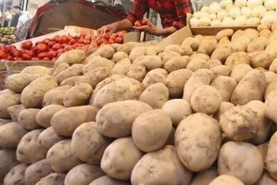 بهای سیاست‌های ناپایدار؛ از زیان کشاورز تا گرانی صیفی‌جات