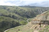 بازگشت حیات‌وحش به زیستگاه‌های طبیعی؛ از فلامینگو تا عقاب تالابی