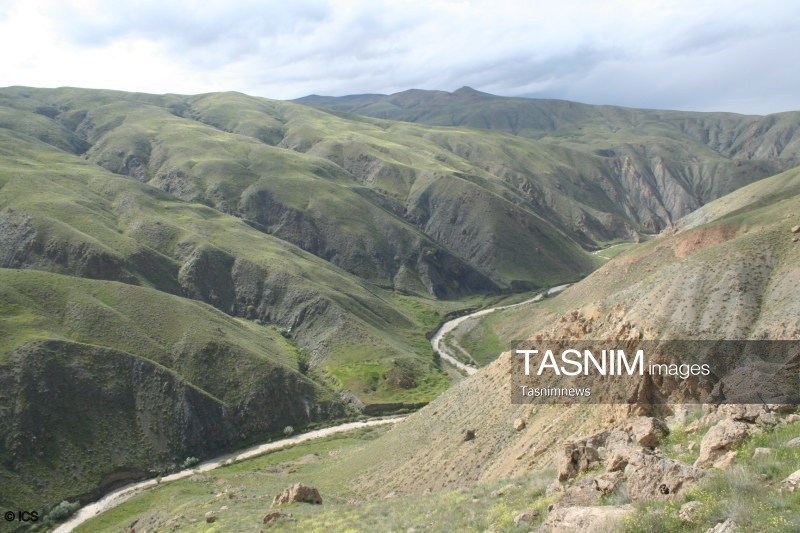 بازگشت حیات‌وحش به زیستگاه‌های طبیعی؛ از فلامینگو تا عقاب تالابی