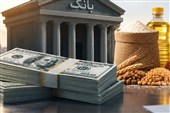 تسهیلات ارزی واردات کالاهای اساسی؛ ریسک نرخ ارز و معمای دموراژ