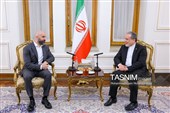 دیدار بافل با سید عباس عراقچی
