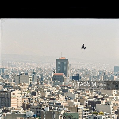 تهران