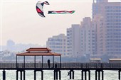 افشاگری رسانه صهیونیستی: کویت در مسیر سازش است
