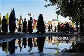 Проведение кампании "Жизнь за Иран" или по-персидски "Джанфадай-е Иран" с участием 313 000 человек
