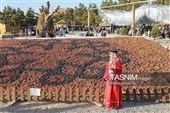 Девятый Урмийский фестиваль винограда