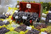 Девятый Урмийский фестиваль винограда