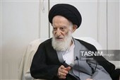 حکیم: آیت‌الله شبیری زنجانی حوزه علمیه را از دانش خود بهره‌مند کرد
