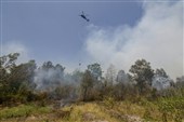 Indonesia Fires Burned over 1.9 mln Hectares through September: Monitor