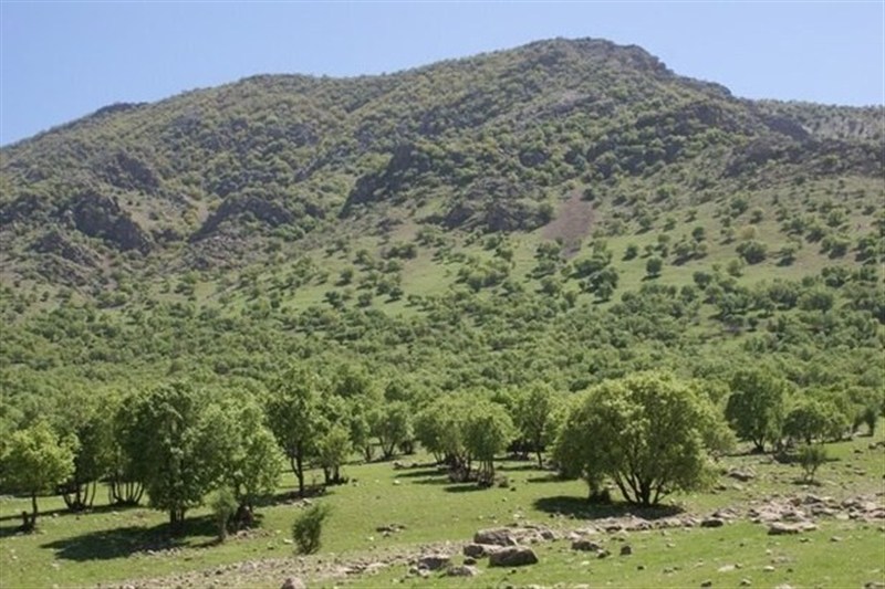 اخبار استان خراسان جنوبی , گردشگری , طبیعت , 