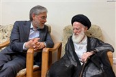 وزیرعلوم: آیت‌الله شبیری زنجانی تجلی زیست اخلاقی علامه طباطبایی بود