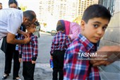 جشن شکوفه‌ها در تهران