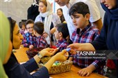 جشن شکوفه‌ها در تهران