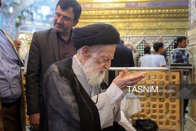 روایت فرزند و شاگرد آیت‌الله شبیری زنجانی از سیره این مرجع تقلید