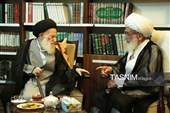 آیت‌الله نوری همدانی درگذشت آیت‌الله شبیری زنجانی را تسلیت گفت