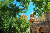Свободная зона Арас