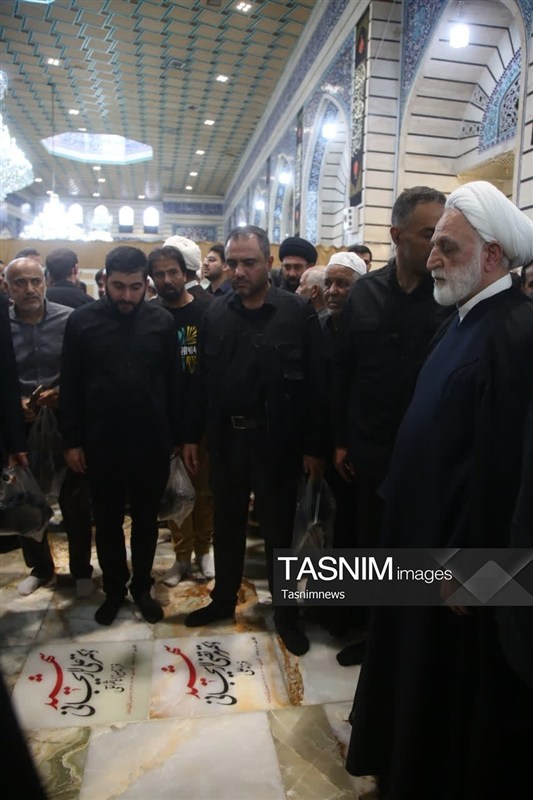 حجت الاسلام و المسلمین غلامحسین محسنی اژه‌ای , حضرت معصومه (س) , مراجع عظام , اخبار استان قم , 