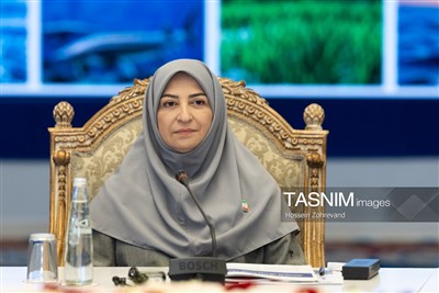 پاکسازی آلودگی‌های نفتی جنگ در جنوب نیازمند پژوهش‌های کاربردی است