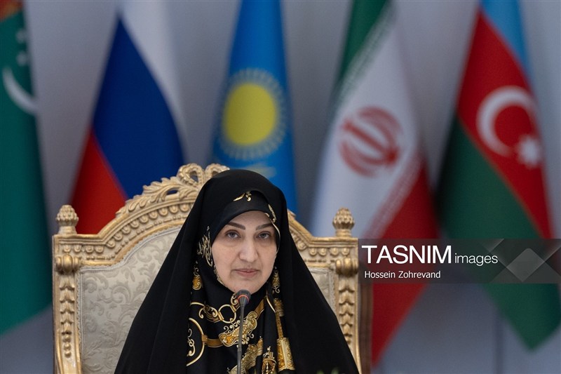 رفیعی: افزایش تعداد نمایندگان ضروری است طرح مجلس برای افزایش کرسی‌ها