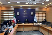 سهم 79 درصدی زنان زنجانی در مشاغل خانگی