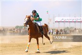 چهاردهمین جشنواره فرهنگی ورزشی جام ستارخان