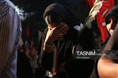 شلمچه‌ای در قلب کرج