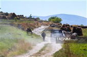 تبریز تستضیف بطولة إیران الوطنیة لرالی العائلات لسیارات الدفع الرباعی