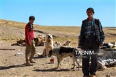 تبریز تستضیف بطولة إیران الوطنیة لرالی العائلات لسیارات الدفع الرباعی
