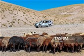 تبریز تستضیف بطولة إیران الوطنیة لرالی العائلات لسیارات الدفع الرباعی