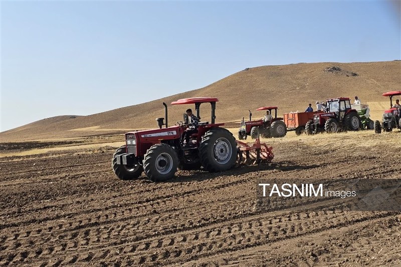 اخبار سنندج , اخبار استان کردستان ,