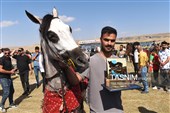 چهاردهمین دوره جشنواره فرهنگی ورزشی جام ستارخان