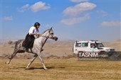 چهاردهمین دوره جشنواره فرهنگی ورزشی جام ستارخان
