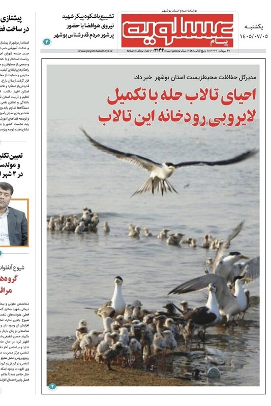 جشنواره مطبوعات و خبرگزاری‌ها , نظام مسائل استان بوشهر , اخبار استان بوشهر , 