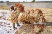 جاروبافی سنتی در روستای ملا حسن - خراسان شمالی