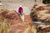 جاروبافی سنتی در روستای ملا حسن - خراسان شمالی