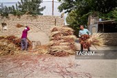 جاروبافی سنتی در روستای ملا حسن - خراسان شمالی