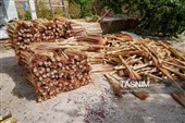 جاروبافی سنتی در روستای ملا حسن - خراسان شمالی