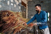 جاروبافی سنتی در روستای ملا حسن - خراسان شمالی