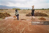 جاروبافی سنتی در روستای ملا حسن - خراسان شمالی