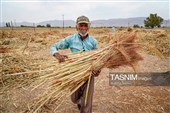 جاروبافی سنتی در روستای ملا حسن - خراسان شمالی