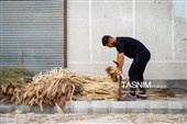 جاروبافی سنتی در روستای ملا حسن - خراسان شمالی
