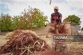 جاروبافی سنتی در روستای ملا حسن - خراسان شمالی