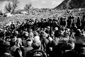 تصاویری از رهبر شهید انقلاب در دوران دفاع مقدس