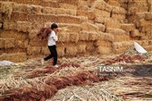 جاروبافی سنتی در روستای ملا حسن - خراسان شمالی