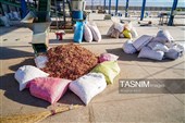 Сезон сбора и переработки фисташек в Иране