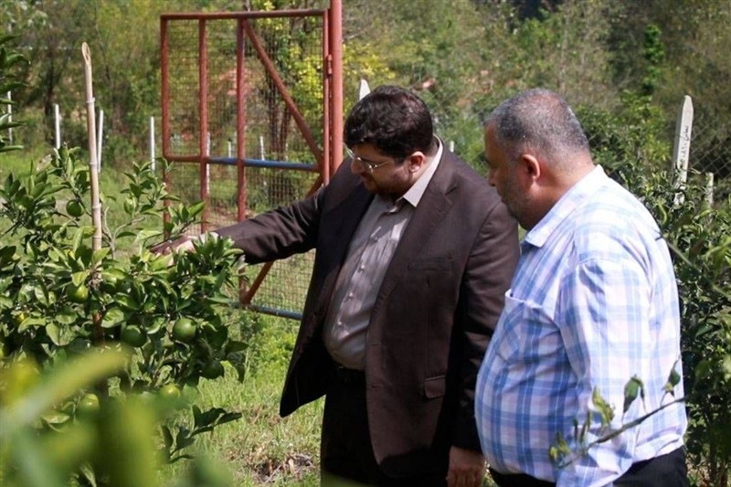 سازمان اوقاف , وقف , اخبار استان گیلان , اخبار لاهیجان ,