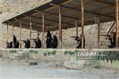 نخستین دوره آموزش نظامی بانوان «جان‌فدا»