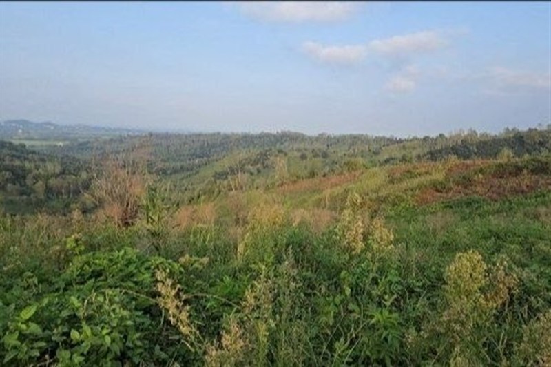ساخت مسکن , اخبار استان گیلان , نظام مسائل استان گیلان , 