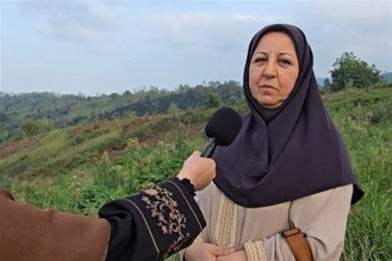ساخت مسکن , اخبار استان گیلان , نظام مسائل استان گیلان , 