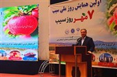 سیب ارومیه در مسیر بازارهای جهانی؛ ویتنام و عمان مقصدهای جدید صادرات