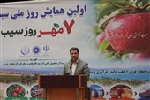 ترکیه مشتری تازه سیب ایران؛ صادرات 65 برابر شد